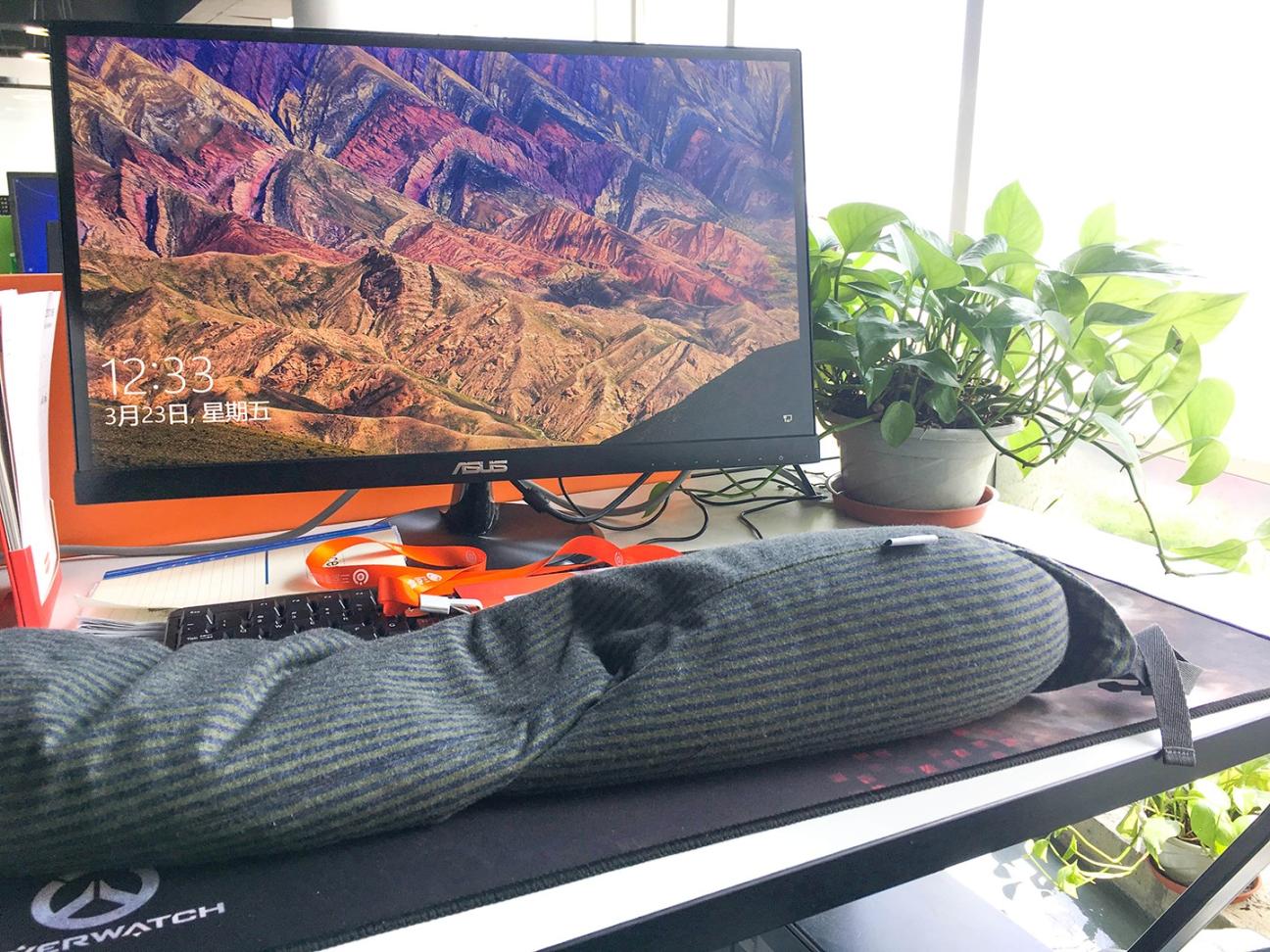 办公室自留地 办公室自留地